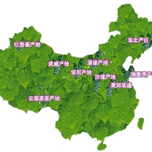 中國葡萄酒地圖：具有東方特色的別樣風情