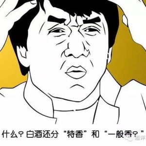 特香型白酒是一種什么體驗，是指酒的香氣“特別香”嗎？
